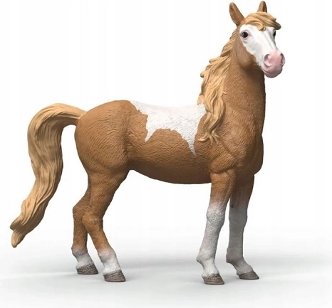 SLH Mustang mare