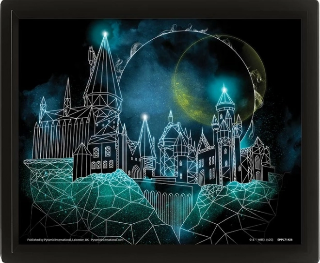 3D Picture HARRY POTTER – Hogwarts