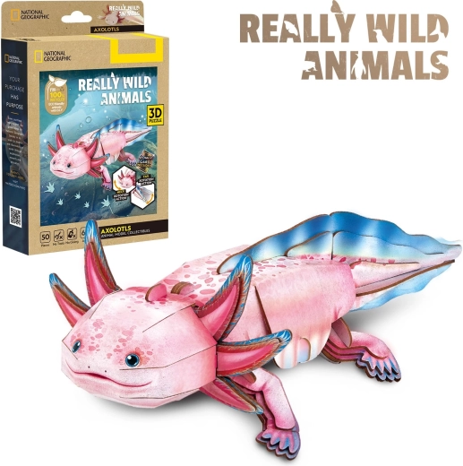 CubicFun 3D puzle National Geographic: aksolotls, 50 detaļas