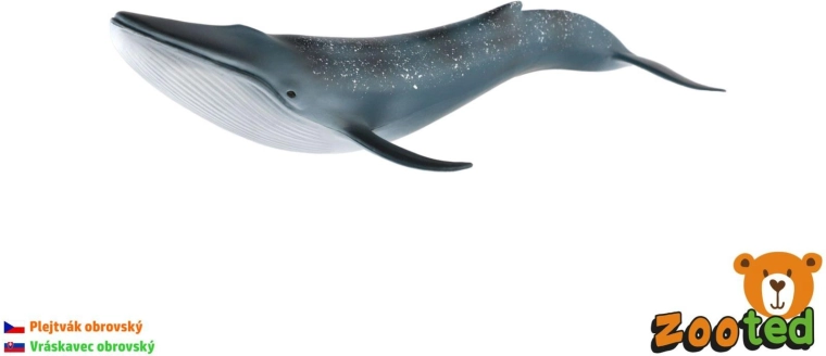 Blue Whale Model 27 cm