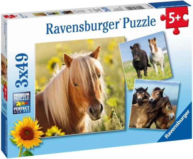 Ravensburger puzles mīļi zirgi 3×49 gabaliņu