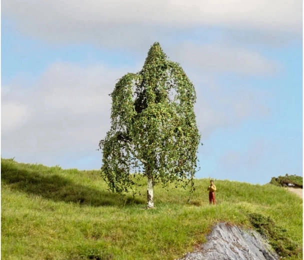 NOCH Silver Birch 12 cm (Master Trees)