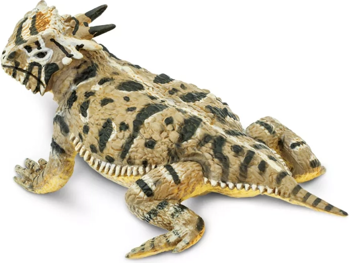 Safari Ltd. raguķainās ķirzakas (Phrynosoma) – reālistiska ķirzakas figūriņa - 1 gab.
