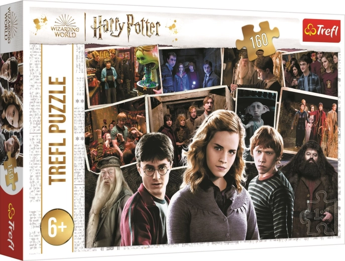 Puzzle HARRY POTTER and Friends 160 pieces Trefl