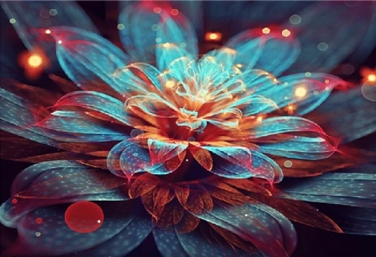 Dimanta gleznošana Ūdensroze 30 × 40 cm