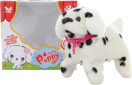 Staigājošs dalmācietis ar saltom