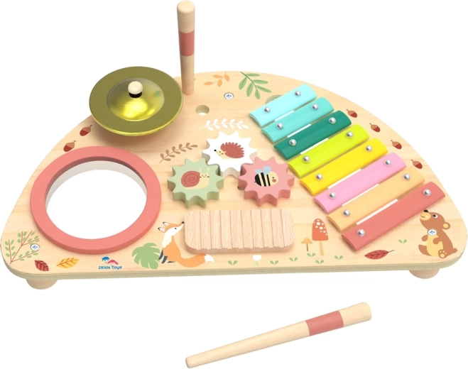 2Kids Toys Multifunctional Music Board