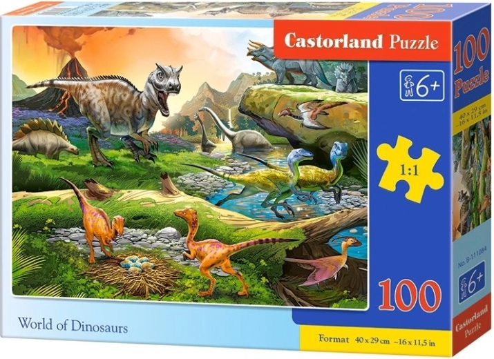 Dinosaur World Puzzle