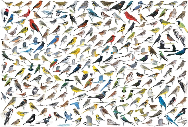 Puzzle World of Birds 2000 Pieces EUROGRAPHICS