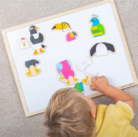 Koka magnētiņi Putnu draugi BIGJIGS TOYS