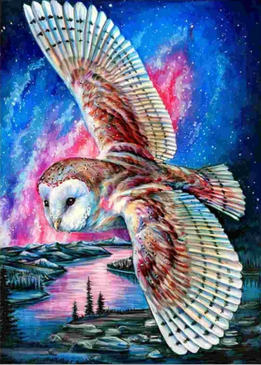 Norimpex dimanta gleznošana Lidojošā pūce 30 × 40 cm