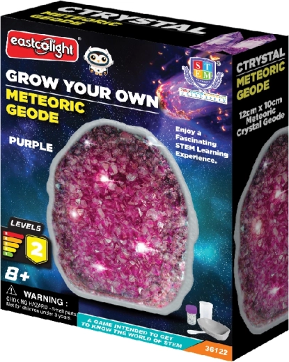 Meteorite Geode for Growing Purple Crystals