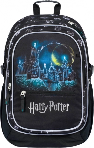 Skolas mugursoma Harry Potter Cūkkārpa