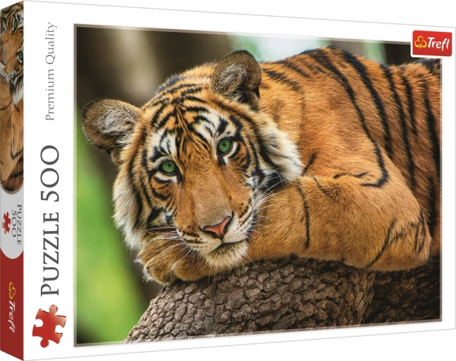 Tiger Portrait Puzzle 500 Pieces