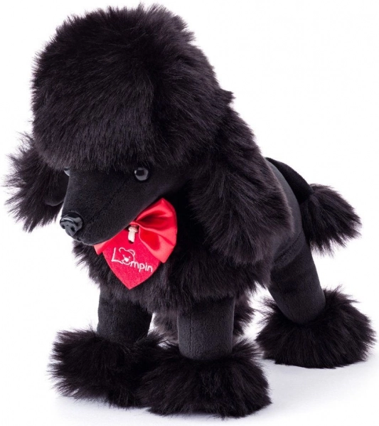 Pūkains pūdelis Čārlijs