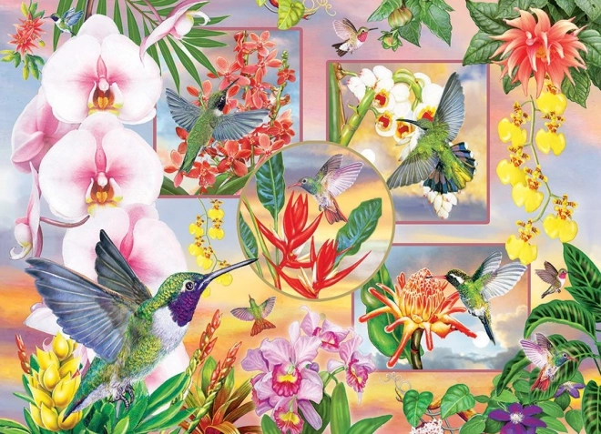 Hummingbird Puzzle 500 Pieces