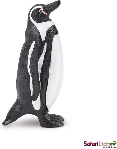 Humboldt Penguin