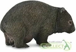 Vombats (Vombatus ursinus) Collecta