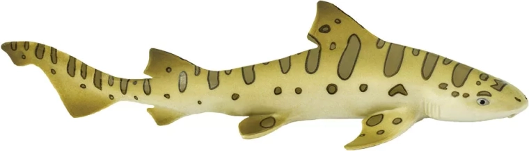 Safari Ltd. leoparda haizivs – 1 gabals