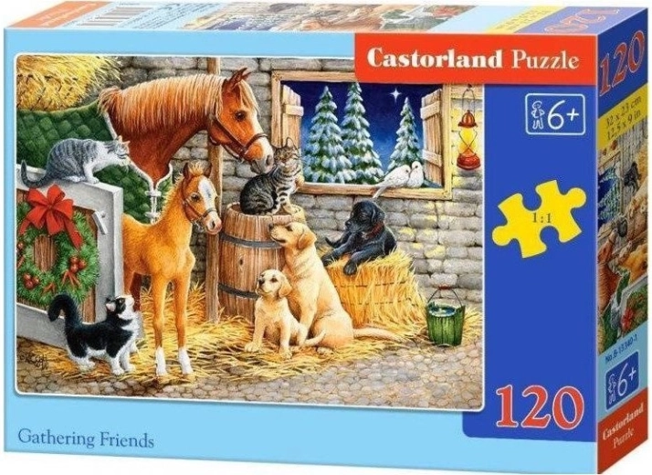 Puzzle 120 Pieces Gathering Friends