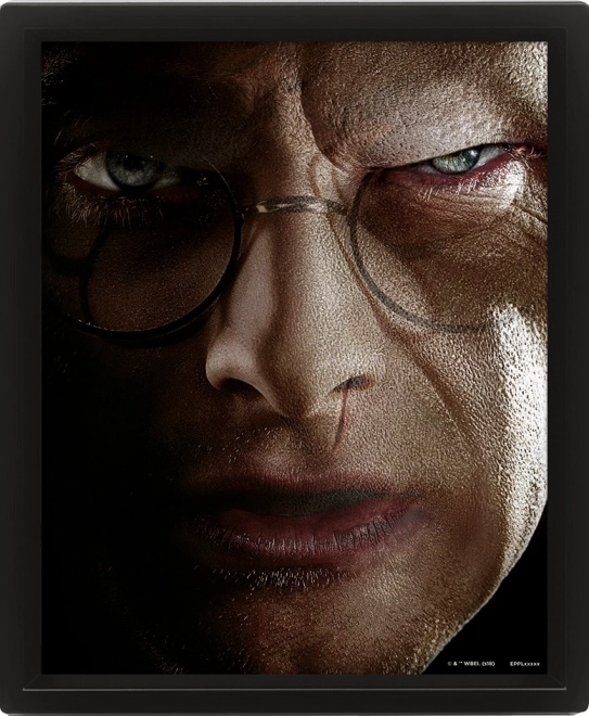 3D Picture Harry Potter - Duel with Voldemort
