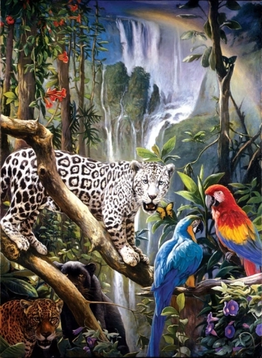 Diamond Painting – Parrots and Panther 30 × 40 cm