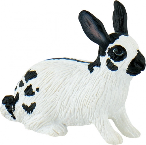 Hare