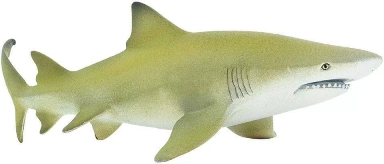 Safari Ltd. citronhaizivs figūriņa