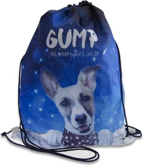 Apavu maisiņš GUMP, zils
