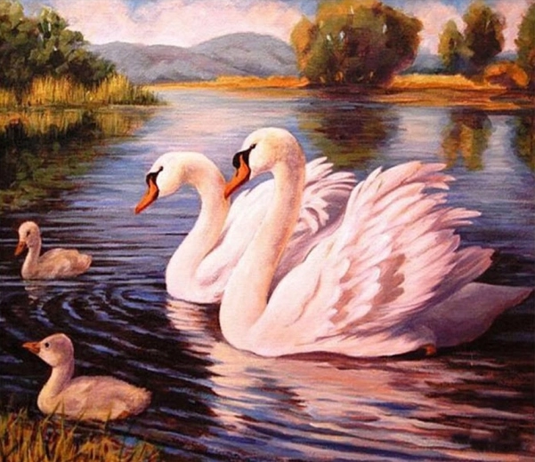 Norimpex Krāsošana pēc cipariem Gulbji 40 × 50 cm