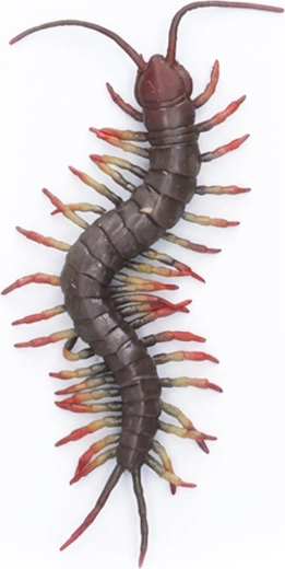 Giant Rubber Centipede 23 cm