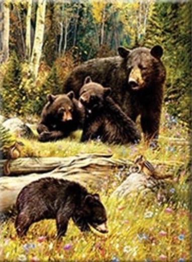 Diamond Painting – Bears in a Clearing 30 × 40 cm