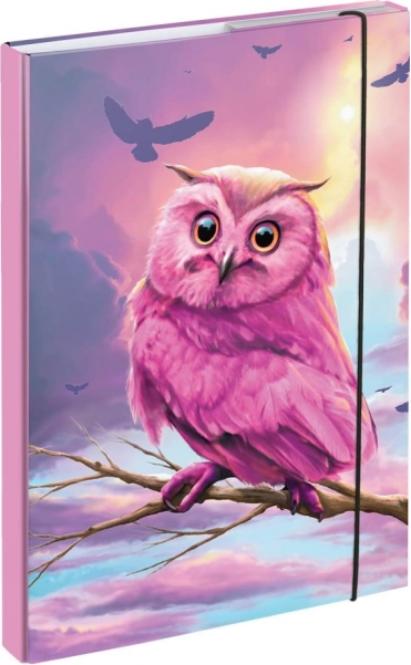 Mapes skolas burtnīcām A4 ar pūces motīvu BAAGL