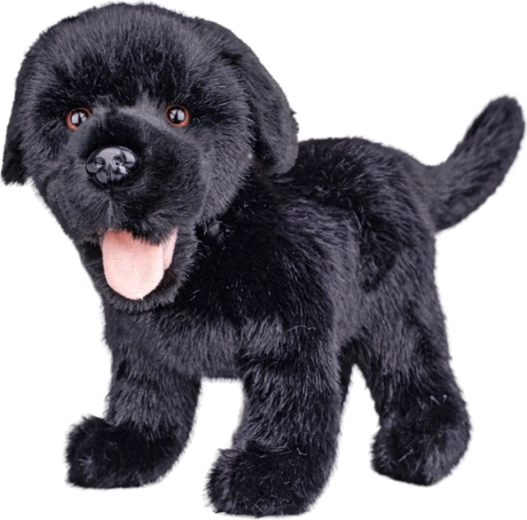 Plīša labradors melns 23 cm - 1 gab.