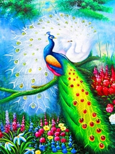 Dimanta gleznošana – pāvi 30 × 40 cm