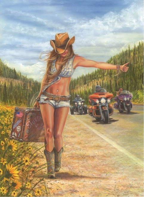 Puzle American Gypsy 1000 detaļu