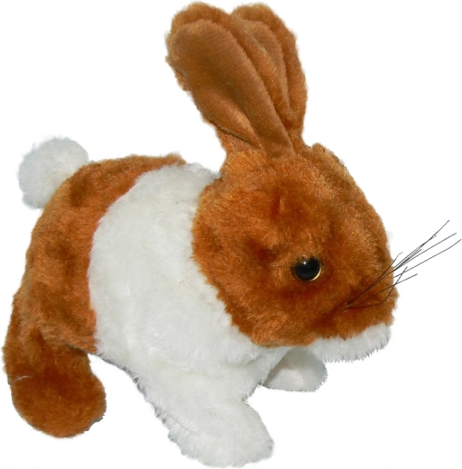 Interactive Bunny Chuck