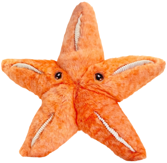 Keeleco plush starfish 25 cm