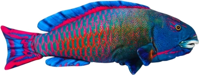 Blue Plush Sea Fish 50 cm