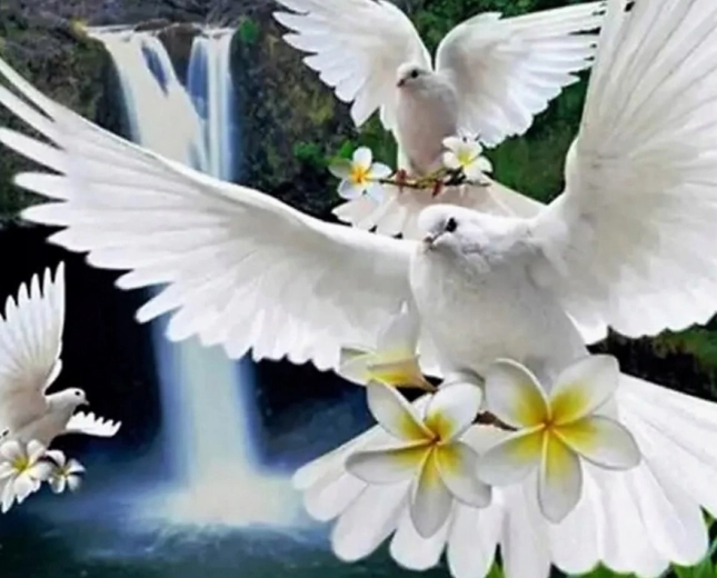 Diamond Painting White Doves 30 × 40 cm
