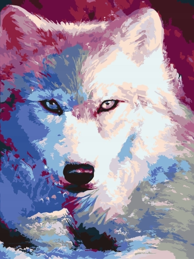 Paint by Numbers Shadows of the White Wolf 40 × 50 cm