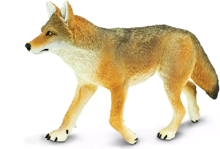 Safari Ltd. kojota figūriņa – 1 gab.