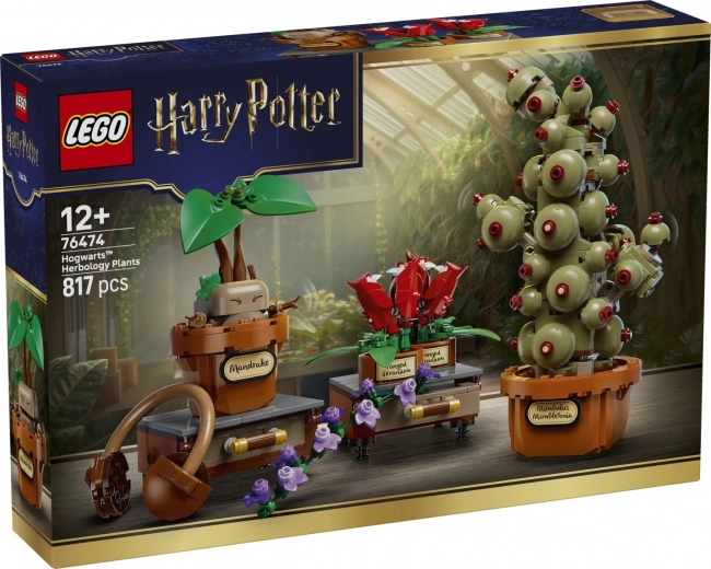 LEGO Harry Potter Augi no Cūkkārpas augu mācības stundas