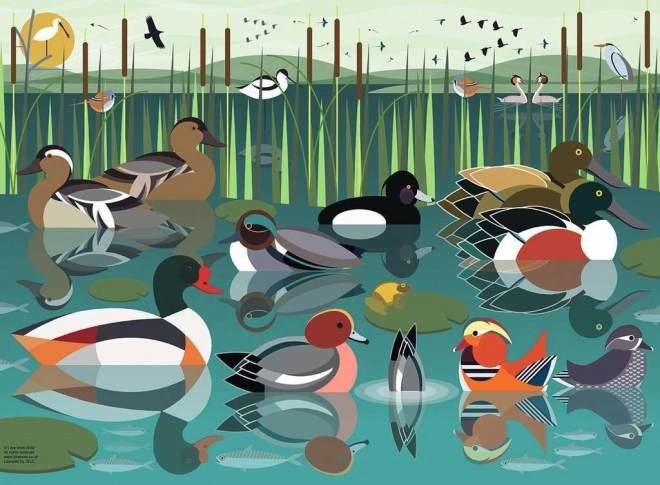 Ravensburger puzle Man patīk ūdensputni 500 gabalu