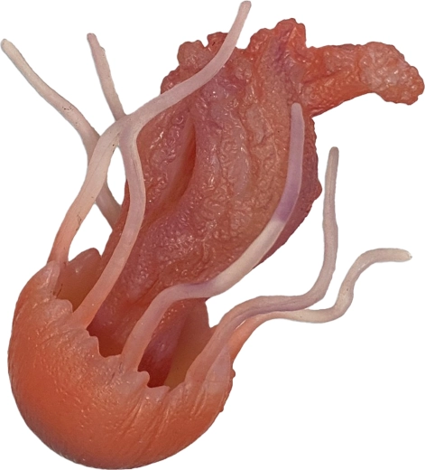Gumijas medūza 10 cm – rotaļlieta vannai un baseinam