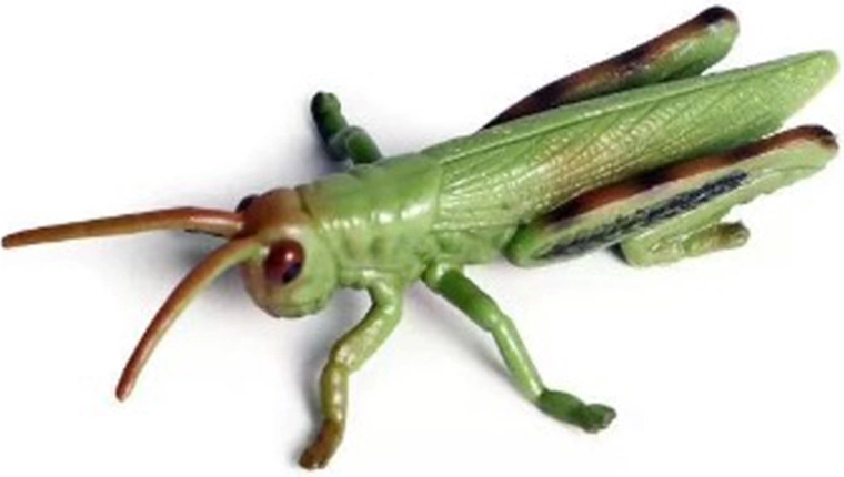 Kukaiņi – sienāzis 9 cm