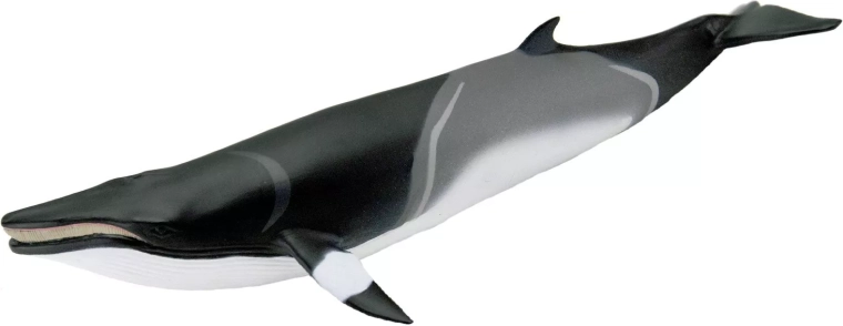 Safari Ltd. minke whale figurine - 1 piece