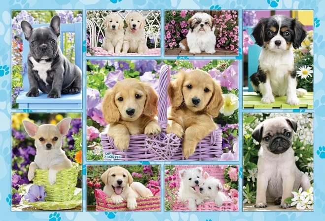 Puppy Puzzle 200 pieces SCHMIDT