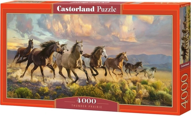 Castorland puzle “Hrmīcī prērija” 4000 gabaliņi