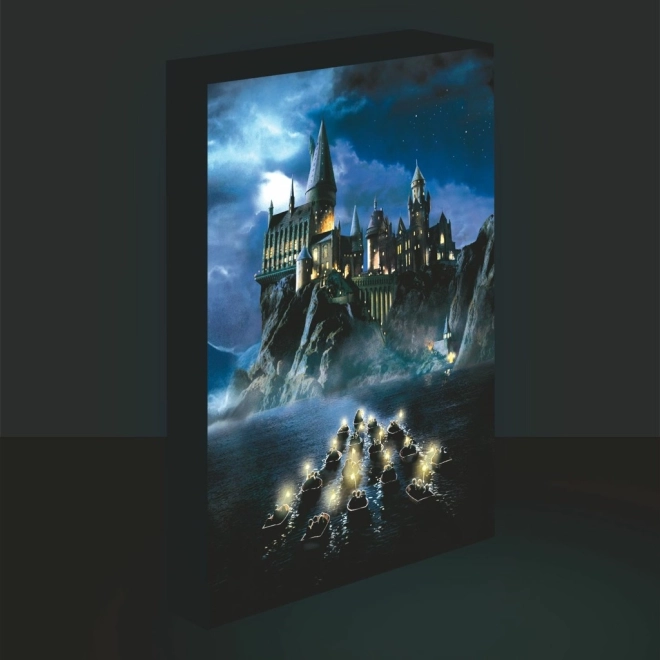 LED attēls Harijs Poters – Cūkkārpa 30x40 cm